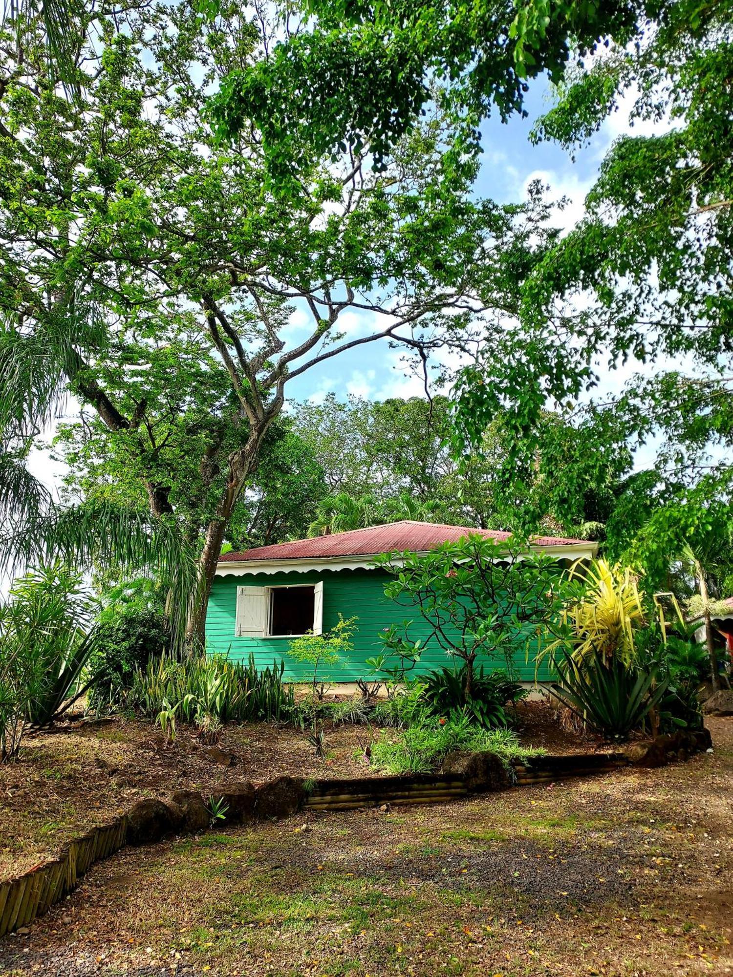 Bungalow Du Jardin Botanique De Deshaies Habitación foto